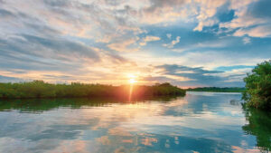 The sunset from the Sunsetter Bnb in Saigon Bay with calm water, mangrove, and a sky painted pink and blue.