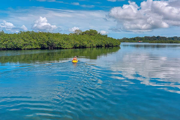 A man in a yellow kayak paddles through the calm waters of Saigon Bay in Bocas del Toro, Panama.